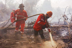 Catat Karhutla 10 Daerah Januari-Juni 2024, Luas Lahan Terbakar di Sumsel 313, 5 Hektare