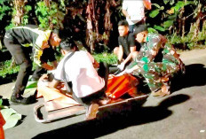 Kecelakaan Maut di Muba, Motor Tabrak Truk Hino: Lukman (80) Tewas di Lokasi