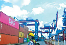 Harga Komoditas Andalan Turun, Pasar AS Kecil tapi Pengaruhi Situasi Global 