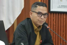  Soal Insentif bagi Pemilik Kendaraan Listrik, Sumsel Masih Tunggu Pergub