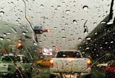 Siaga Puncak Hujan, BMKG Warning Hujan Lebat di Wilayah Ini