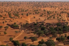 5 Gurun Terluas di Dunia, dari Hamparan Es Antartika hingga Panas Ekstrem Sahara