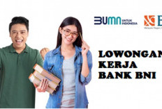 Terbaru! Loker BUMN Bank BNI Buka Akhir Desember, 3 Posisi Tersedia untuk Lulusan SMA, SMK hingga S1