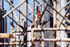 TKA Asal China Mendominasi di Palembang, Terbanyak di Bidang Kontruksi Ini Jumlahnya 