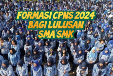 Rekrutmen CPNS 2024 Bagi Lulusan SMA SMK, Simak Formasinya