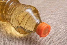 Hemat Minyak, Masakan Tetap Lezat! Ini Rahasia Koki Profesional agar Tak Boros Minyak Goreng