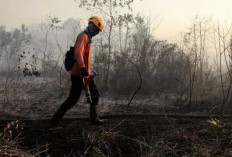 Empat Lawang Belum Masuk Zona Rawan Karhutla, Pemerintah Daerah Perkuat Langkah Antisipasi