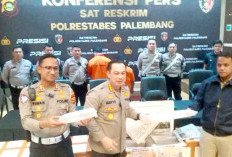 63.100 Baby Lobster Senilai Rp180 Miliar Gagal diselundupkan ke Jambi