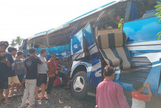 Bus Penumpang Bertabrakan dengan Kereta Api di Martapura OKU Timur, Satu Korban Dilaporkan Tewas