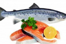Catat, 5 Ikan Ini Kaya Akan Vitamin D, Yuk Masukkan Dalam Daftar Menu Hidangan