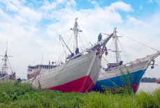 PTP Nonpetikemas Menjaga Kedaulatan Pangan dari Pelabuhan