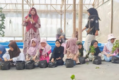 The Zafarm, Oase Edukasi dan Petik Segar di Tengah Kota Palembang