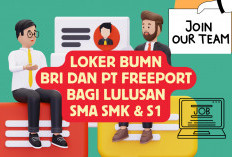 Loker BUMN Bank BRI dan PT Freeport Bagi Lulusan SMA, SMK, dan S1