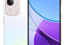 Vivo Y19s, Cantik Bukan Berarti Rapuh, HP Tahan Banting Rasa Premium di Kelas 1 Jutaan