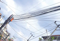 Catat, 23 Juli Wako Ratu Dewa Pimpin Kick-Off Penataan Kabel Wifi Internet Ini Tujuannya 