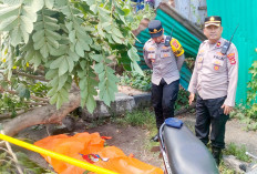  Malangnya Driver Ojol Ini, Meninggal di Tempat Usai Tertimpa Pohon Tumbang