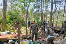 Tim Gabungan Kerahkan Ekskavator Bongkar 122 Sumur Minyak Ilegal