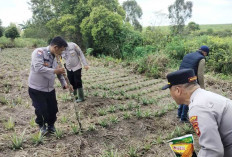 Dorong Kemandirian Desa