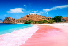 Pesona Pink Beach, Mahakarya Alam Indonesia yang Menjadi Pantai Terindah Dunia