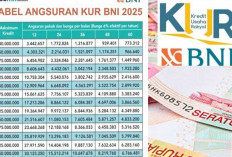 Akses Dana KUR BNI Sekarang, UMKM Dapat Pinjaman Besar dengan Syarat Mudah dan Bunga Ringan