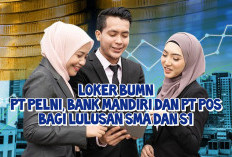 3 Loker BUMN Juli Ini: PT Pelni, Bank Mandiri dan PT Pos, Bagi Lulusan SMA dan S1, Simak Syaratnya