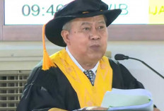  Tanam Nanas Toleran di Lahan Gambut 