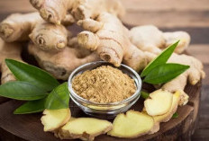 Temu Lawak: Emas Kesehatan dari Akar Nusantara yang Terlupakan