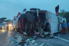 Tragis, Bus Handoyo Tabrak Pembatas Tol Cipali, 12 Penumpangnya Tewas, 7 Luka-luka