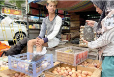 Cabai-Daging Ayam Turun, Telur Masih Tinggi, Pasar Murah Sampai Bulan April 