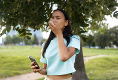 Warga Sumsel Kini Bisa Pantau Kualitas Udara Lewat Aplikasi, Penting di Musim Kemarau