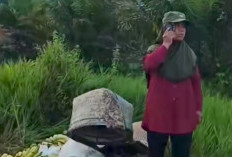 Emak-Emak Berangkat ke Pasar Bawa Pisang, Suparmi Jadi Korban Curas, Motor dan Tas Raib