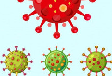 Langkah Efektif Cegah Penyebaran Virus Mpox: Panduan Penting untuk Kesehatan Anda