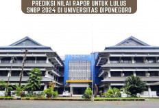 Prediksi Nilai Rapor untuk Lulus SNBP 2024 di Universitas Diponegoro, Siswa Kelas 12 Wajib Tau!