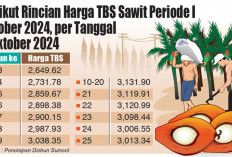 TBS Sawit Tembus Harga Tertinggi, Harga Periode I Oktober 2024, Tertinggi Ke-5 di Indonesia