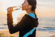 Mengapa Minum Air Putih atau Hidrasi Penting untuk Kesehatan Jantung Anda? Ini Jawabannya!