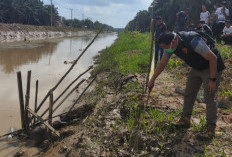Mayat Pria Tanpa Identitas Ditemukan Mengapung di Parit Primer Babat Supat, Polisi Lakukan Penyelidikan