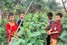 Libatkan Anak-Anak Pasang Lanjaran
