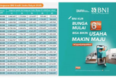 KUR BNI, Solusi Modal Usaha Murah untuk UMKM yang Ingin Naik Kelas