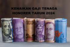 Honorer Ucap Syukur! Jokowi Resmi Naikkan Gaji Mereka Pada 2024, Segini Besarannya