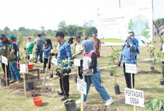 Tanam 200 Pohon,  Lestarikan Lingkungan, Dukungan Penanganan Perubahan Iklim