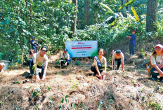 Sharp Indonesia Ubah Langkah Pelari Jadi 600 Pohon, Selamatkan Habitat Elang Jawa