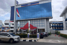 BRI Palembang Salurkan KUR Rp 2,34 Triliun, Dorong Produktivitas UMKM