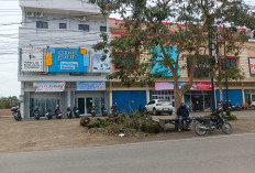 Tumpukan Sisa Pohon Tumbang di Lembayung Dikeluhkan Warga Lewat Medsos