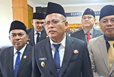 Dewan Langsung Bentuk Dua Pansus
