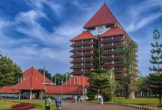 Temukan 5 Kampus Ternyaman di Indonesia Tempat Belajar Sambil Healing, Produktif Sepanjang Waktu