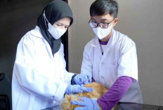 Karantina Vaksin 34 Hewan 