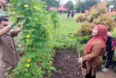 Ciptakan Pelajar Tangguh di Kehidupan Nyata, Panen Raya SMPN 3 Martapura Dukung GSMP 