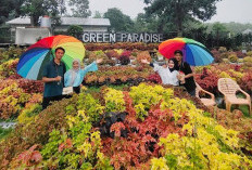 10 Rekomendasi Hotel Terbaik di Sumatera Selatan untuk Liburan dan Perjalanan Bisnis