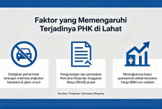 Petakan Penyebab 1.098 Kasus PHK, Data Warga Terdampak