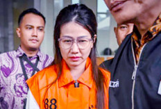 Selisih Harga dari Pengadaan Massal Berpotensi Mengalir ke Kepala Daerah, Rekanan PT Millenium Solusi Abadi